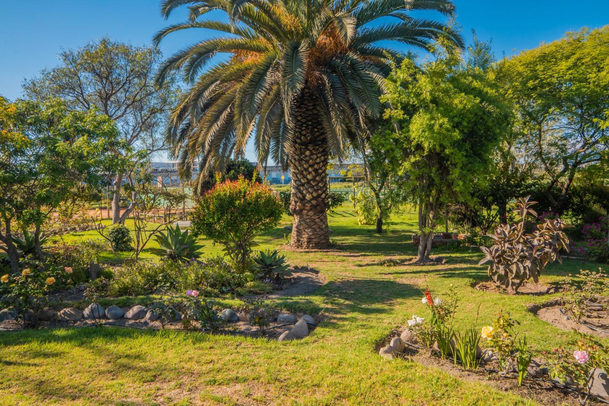 Cabanas Villa Los Platanos La Serena Exterior photo